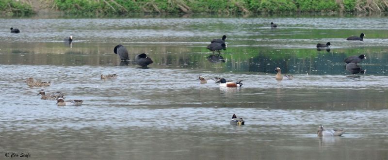 domenica mattina nel cremasco